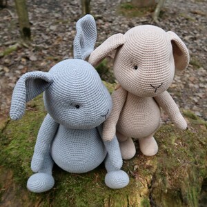 Op de afbeelding: Twee gehaakte konijnenknuffels, &eacute;&eacute;n lichtblauw en &eacute;&eacute;n lichtbruin, zittend op een mossige boomstam.