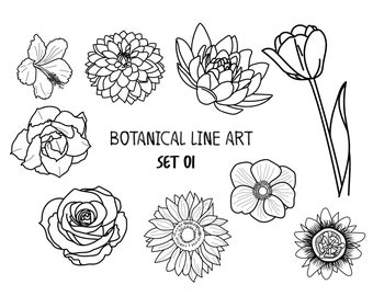 Flower Drawing SVG Bundle: Botanical Line Art (Digital Download)