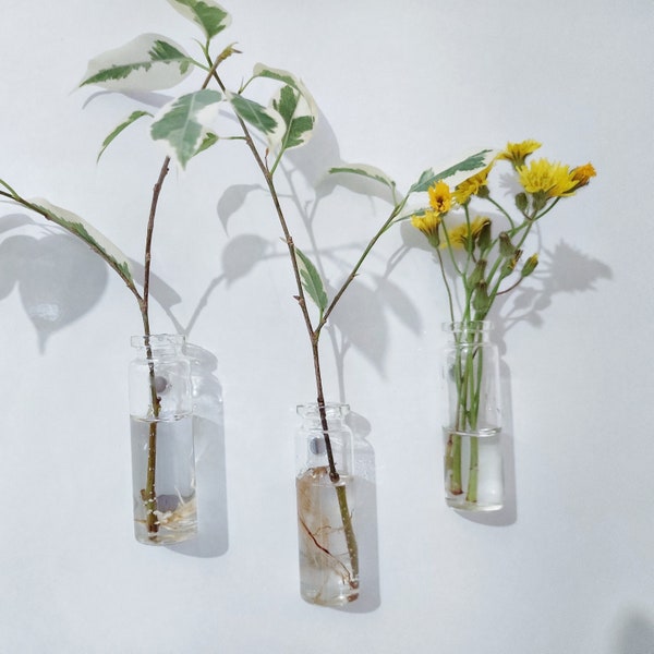 Magnetic propagation glasses set of 3pk, magnetic glass tube for flowers,  magnetic vase,  fridge magnet, test tube vase,  gift plant lover