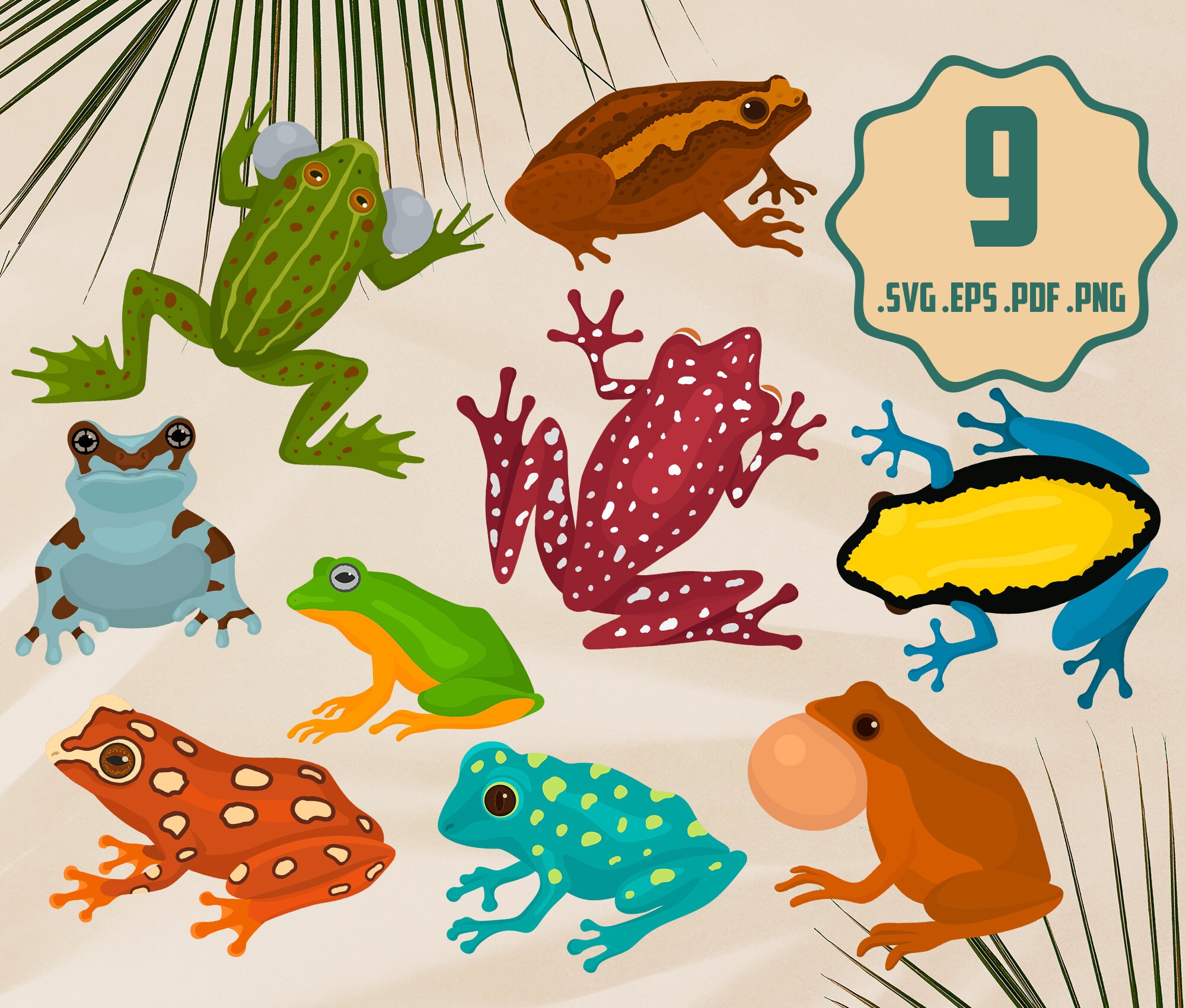 Color Frogs SVG Illustration Bundle Cartoon Frogs Vector Art Etsy