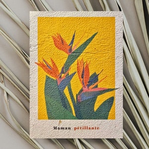 Carte illustration oiseau de paradis