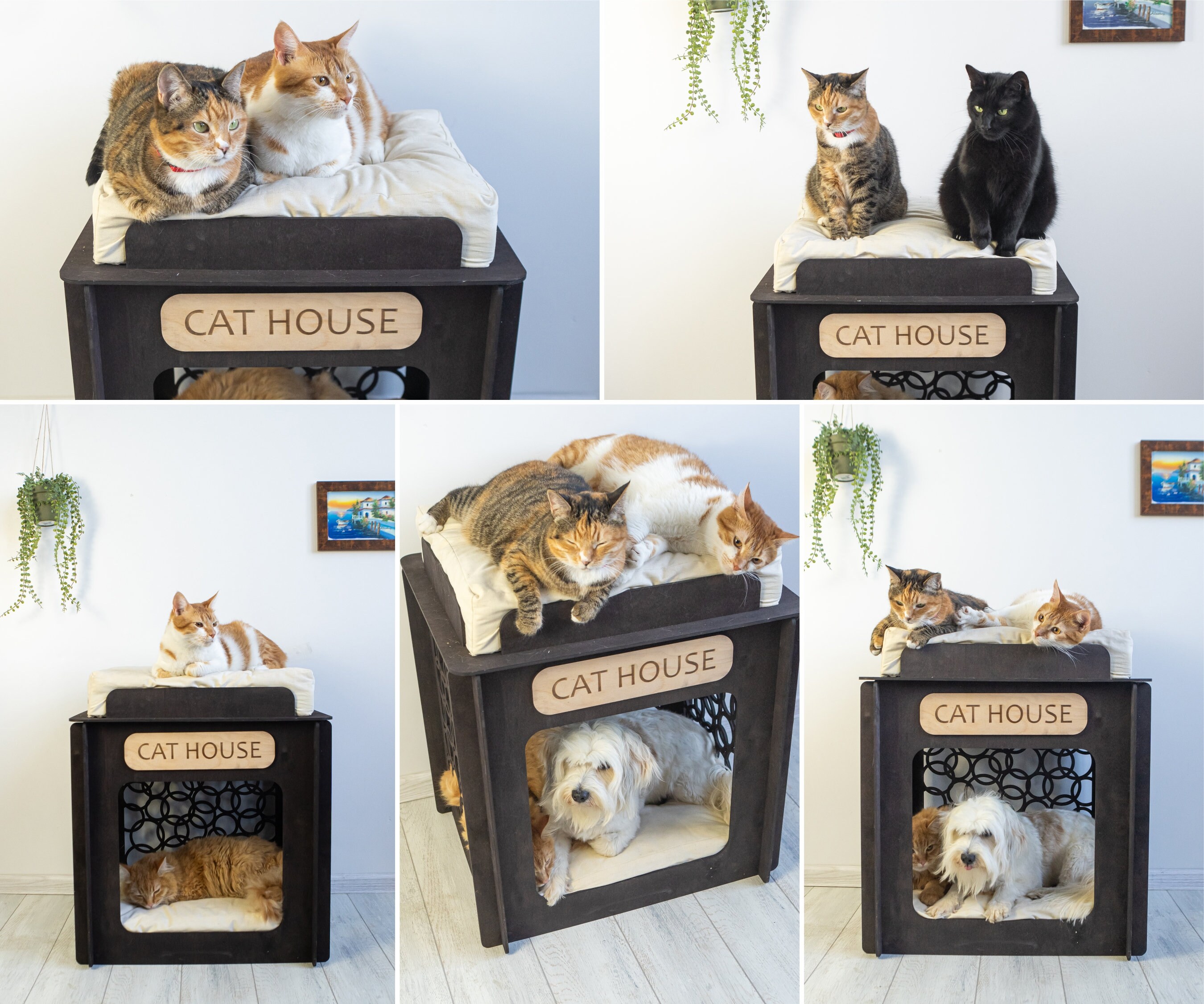 Wooden Cat Houseplywood Cat Housewooden Pet Housepet Etsy