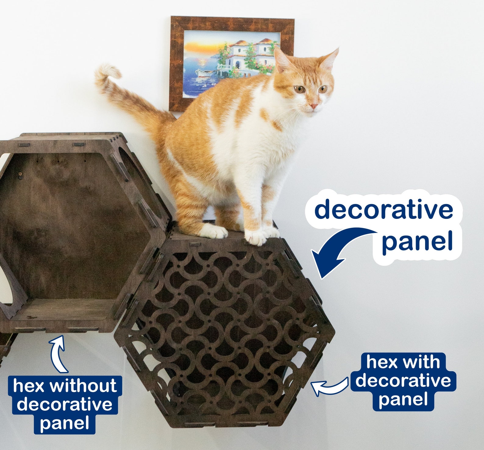 Hexagon Cat Shelveshexagon Catwalkcat Climbing Wallcat Etsy