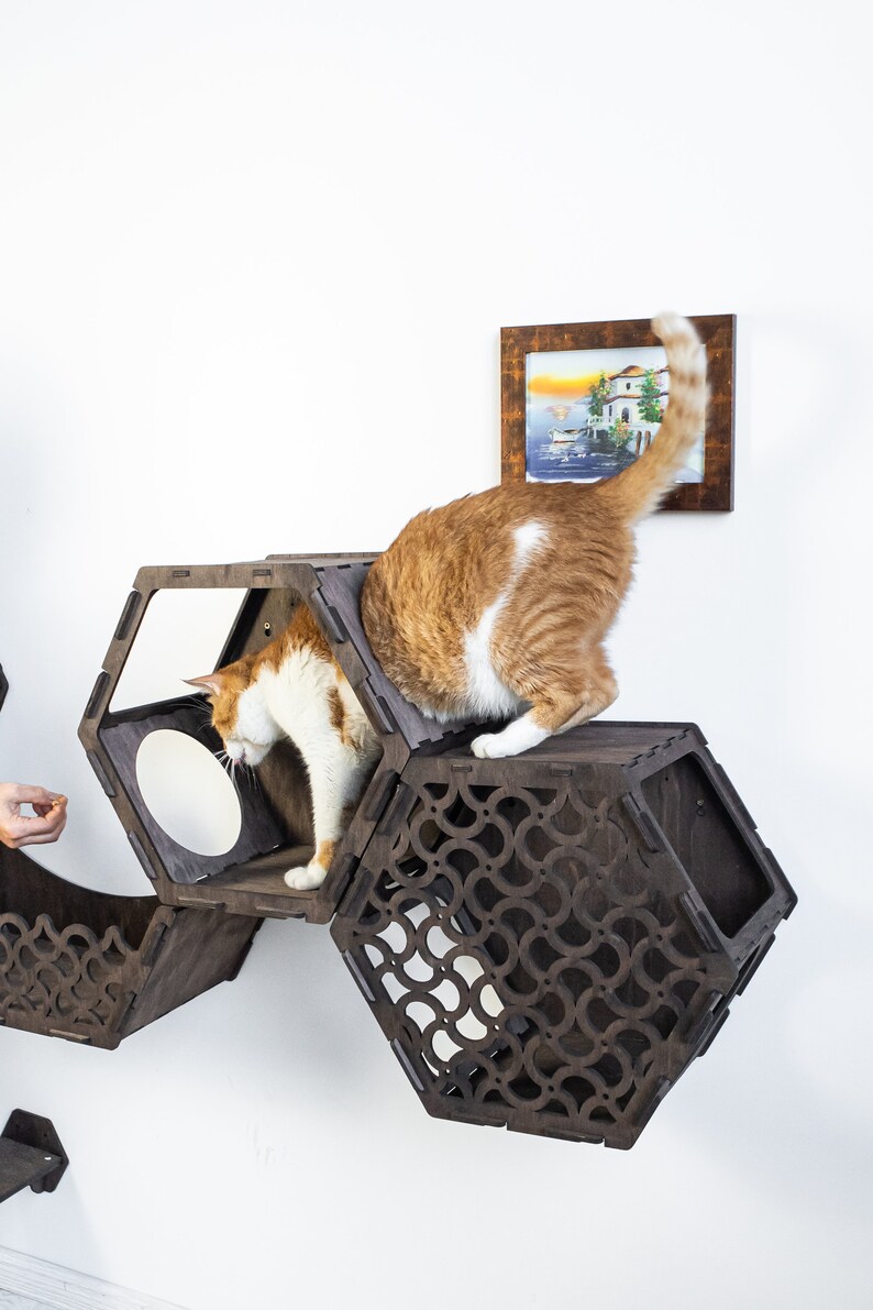 Hexagon Cat Shelveshexagon Catwalkcat Climbing Wallcat Etsy