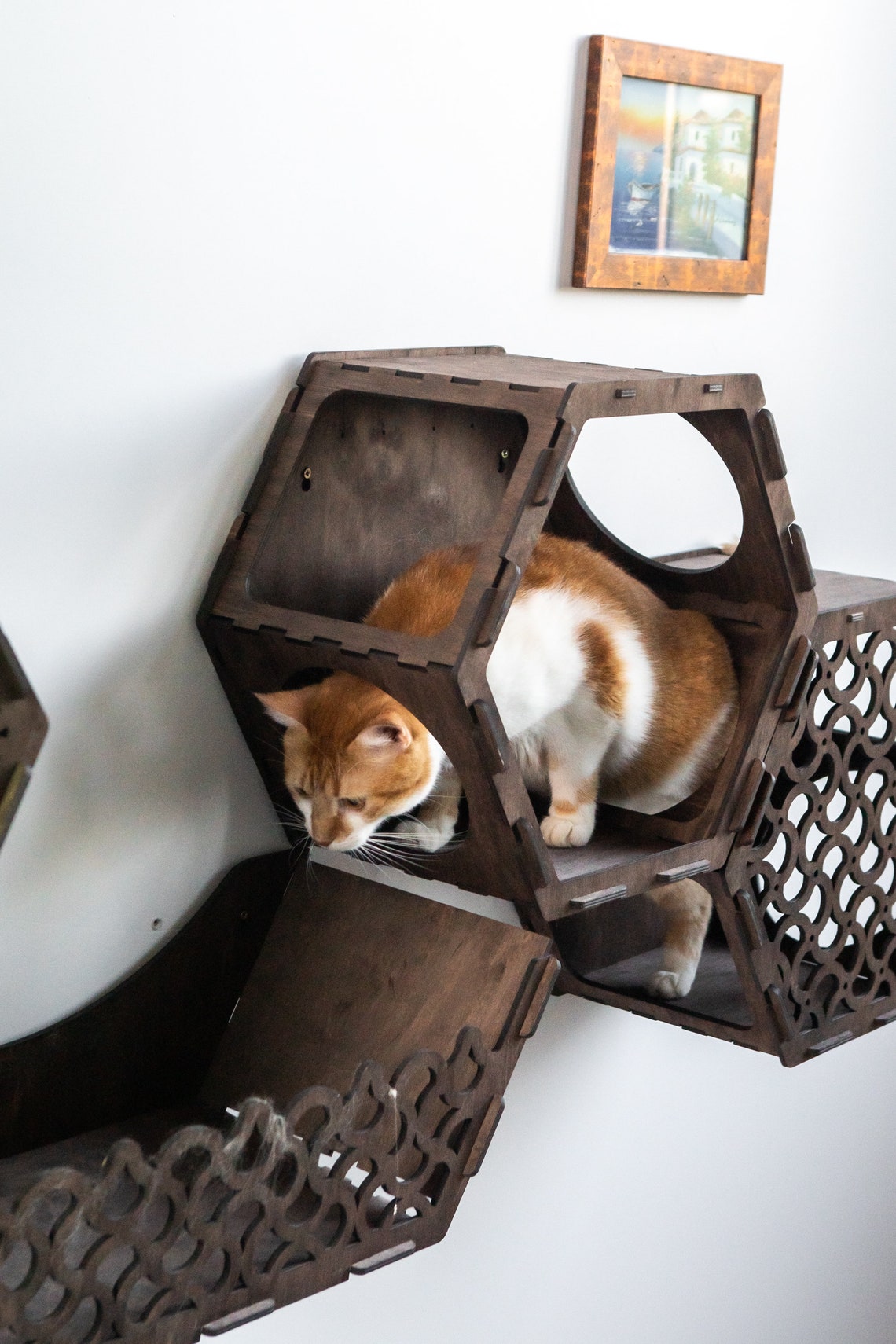 Hexagon Cat Shelveshexagon Catwalkcat Climbing Wallcat Etsy