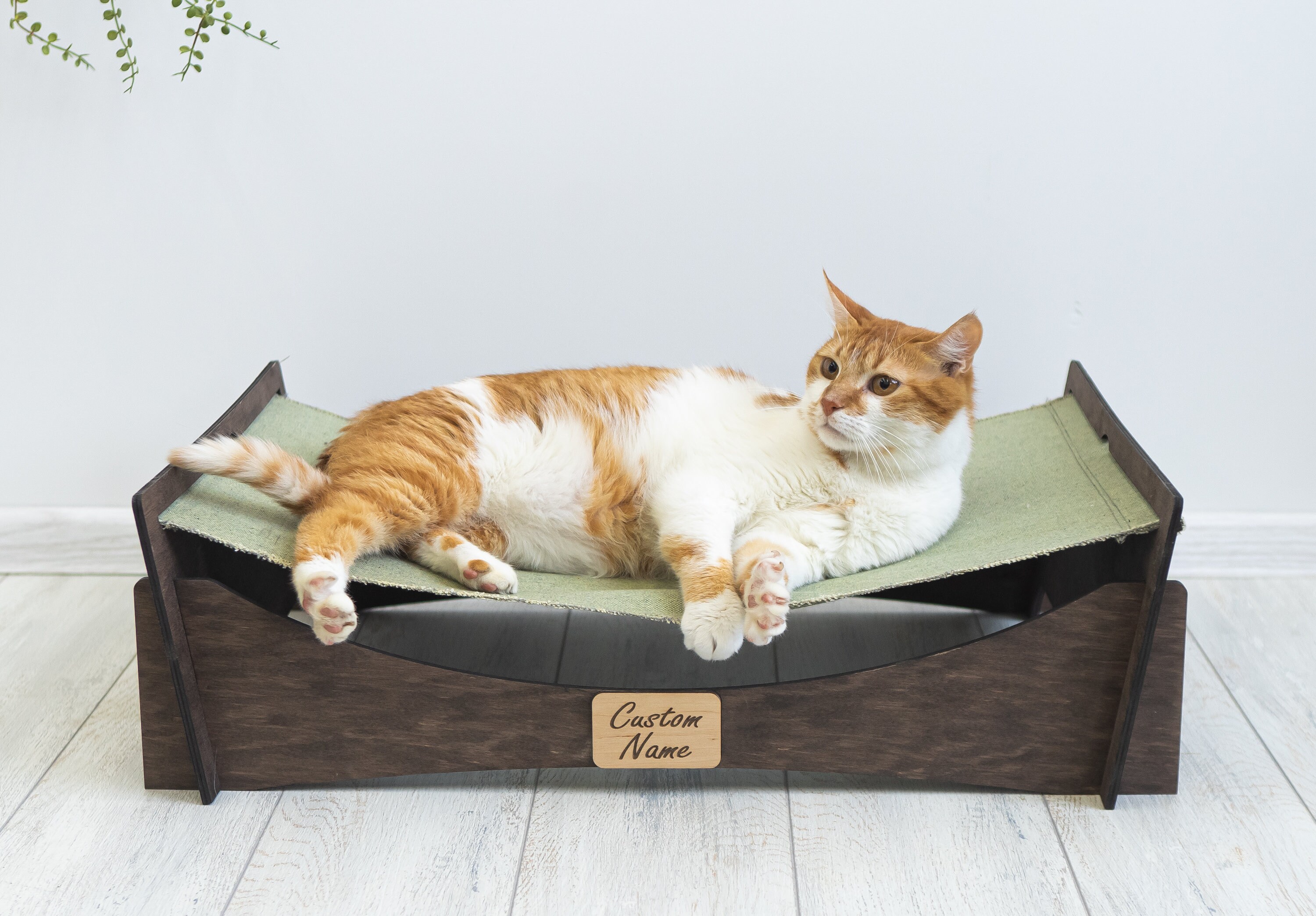 high beds for cats