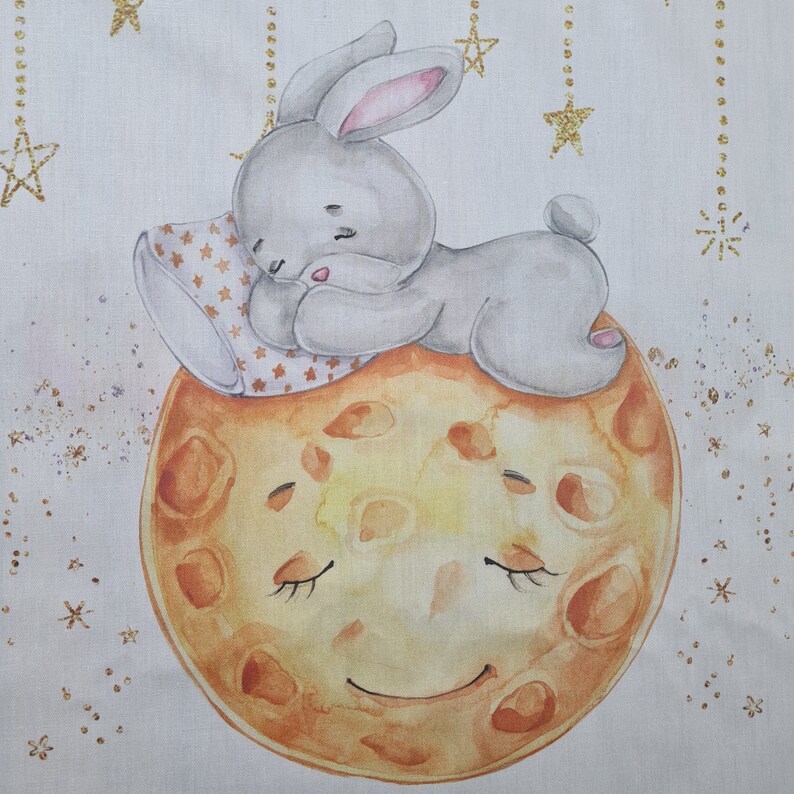 Hare Baby Fabric Panels for Quilting, Cute Hare on Moon, Clouds