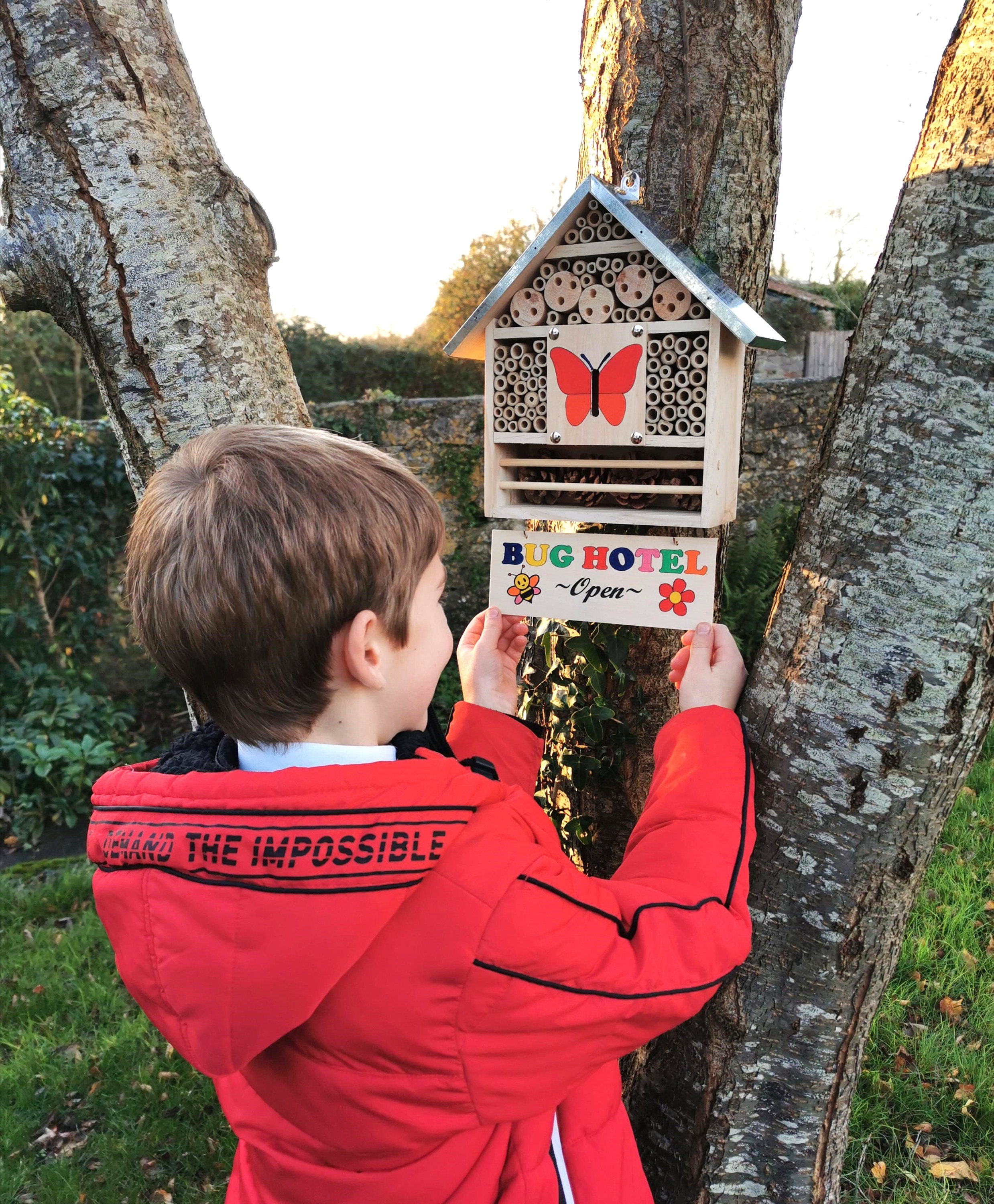Build Your Own Bug Hotel Kit Eco Wood Insect House Kit for Etsy UK
