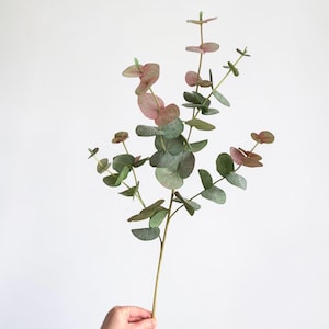 Artificial Eucalyptus Stem, Faux Greenery Branch (90cm), Realistic Tall Bluch Eucalyptus for Vase Styling, Neutral Home Arrangement