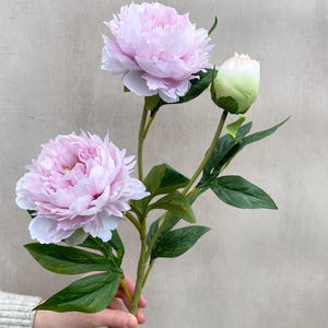 May include: A stem of artificial peonies featuring two large, fully bloomed light pink flowers and one smaller, unopened pale green bud. The stem includes several dark green, serrated leaves attached to a central green stalk.