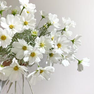 K&ouml;nnte beinhalten: Ein Strau&szlig; wei&szlig;er Kosmosblumen mit gelben Zentren und gr&uuml;nen Stielen. Die Bl&uuml;ten sind in voller Bl&uuml;te, mit zarten Bl&uuml;tenbl&auml;ttern. Das Arrangement befindet sich vor einem schlichten wei&szlig;en Hintergrund.