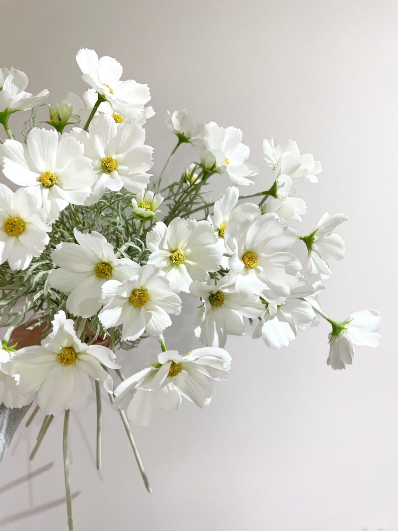 K&ouml;nnte beinhalten: Ein Strau&szlig; wei&szlig;er Kosmosblumen mit gelben Zentren und gr&uuml;nen Stielen. Die Bl&uuml;ten sind in voller Bl&uuml;te, mit zarten Bl&uuml;tenbl&auml;ttern. Das Arrangement befindet sich vor einem schlichten wei&szlig;en Hintergrund.