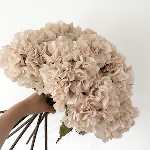 Può includere: Un grande bouquet di ortensie finte in un morbido colore pesca tenue. I fiori artificiali hanno più strati di delicati petali, creando un aspetto pieno e strutturato. Gli steli sono marrone scuro e tenuti insieme, con alcune foglie verdi visibili.