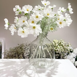 K&ouml;nnte beinhalten: Eine klare Glasvase gef&uuml;llt mit wei&szlig;en Kosmosbl&uuml;ten mit gelben Zentren und gr&uuml;nen Stielen. Die Vase steht auf einer wei&szlig;en Oberfl&auml;che, mit anderen getrockneten Blumen im Hintergrund. Die Blumen sind in voller Bl&uuml;te.