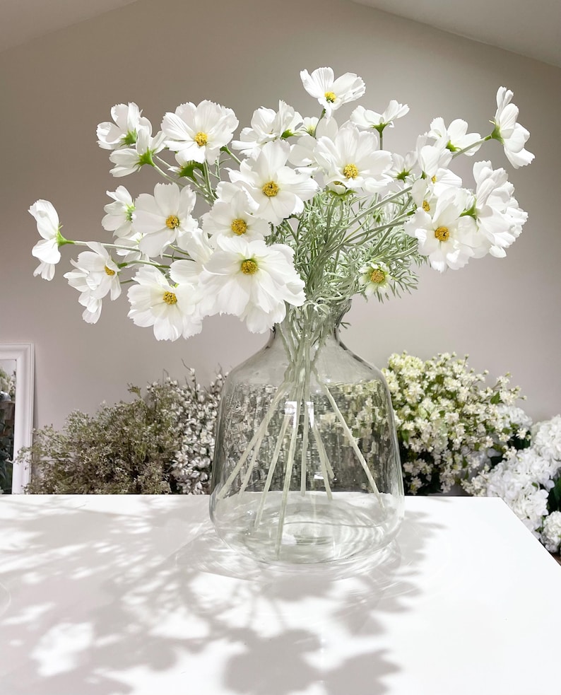 K&ouml;nnte beinhalten: Eine klare Glasvase gef&uuml;llt mit wei&szlig;en Kosmosbl&uuml;ten mit gelben Zentren und gr&uuml;nen Stielen. Die Vase steht auf einer wei&szlig;en Oberfl&auml;che, mit anderen getrockneten Blumen im Hintergrund. Die Blumen sind in voller Bl&uuml;te.