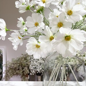 K&ouml;nnte beinhalten: Eine klare Glasvase gef&uuml;llt mit wei&szlig;en Kosmosbl&uuml;ten. Die Bl&uuml;ten haben zarte wei&szlig;e Bl&uuml;tenbl&auml;tter und leuchtend gelbe Zentren. Die Vase steht auf einer wei&szlig;en Oberfl&auml;che, im Hintergrund sind weitere Blumenarrangements zu sehen.