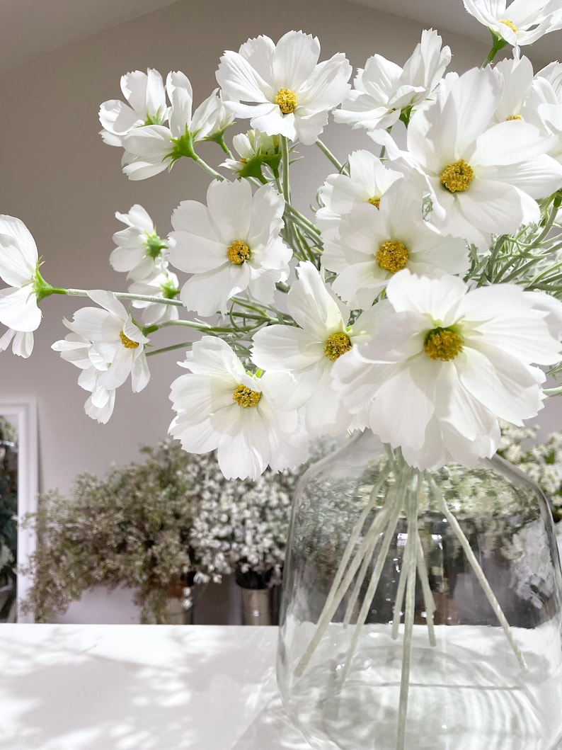 K&ouml;nnte beinhalten: Eine klare Glasvase gef&uuml;llt mit wei&szlig;en Kosmosbl&uuml;ten. Die Bl&uuml;ten haben zarte wei&szlig;e Bl&uuml;tenbl&auml;tter und leuchtend gelbe Zentren. Die Vase steht auf einer wei&szlig;en Oberfl&auml;che, im Hintergrund sind weitere Blumenarrangements zu sehen.