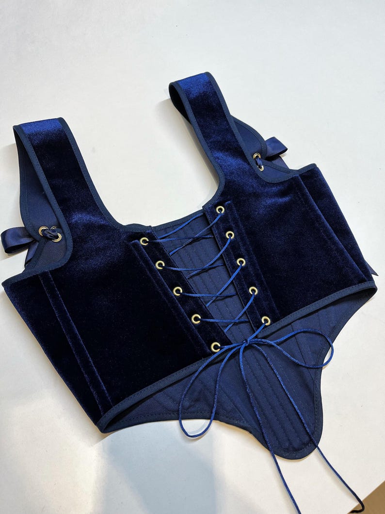 embroidered corset,
velvet corset