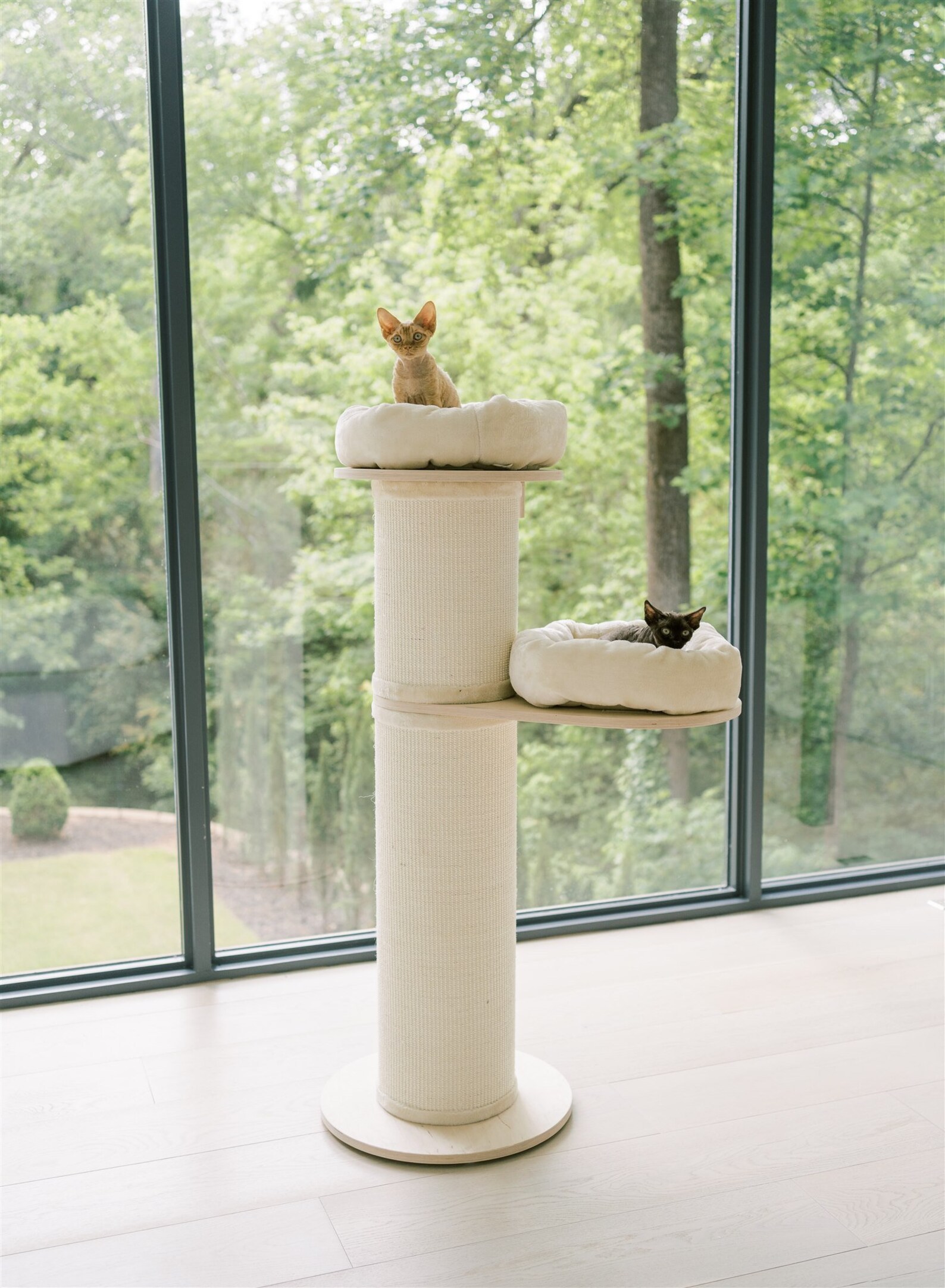 Jumbo Cat Scratching Post extra thick with Two Large Snuggle Etsy