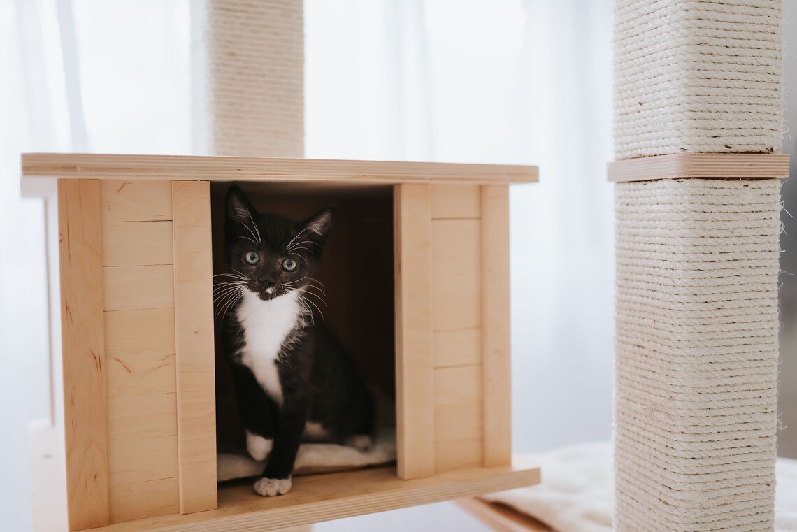 Milo 60 Modern Multilevel Sturdy Cat Tree Condo With Etsy