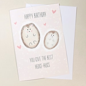 Vous donnez les meilleurs câlins de haie - joyeux anniversaire - carte de voeux - hérisson - A5 - carte d'anniversaire vierge à l'intérieur