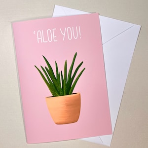 Aloe You Aloe Vera Saludos / Tarjeta de cumpleaños Gracias - A5 - Interior en blanco