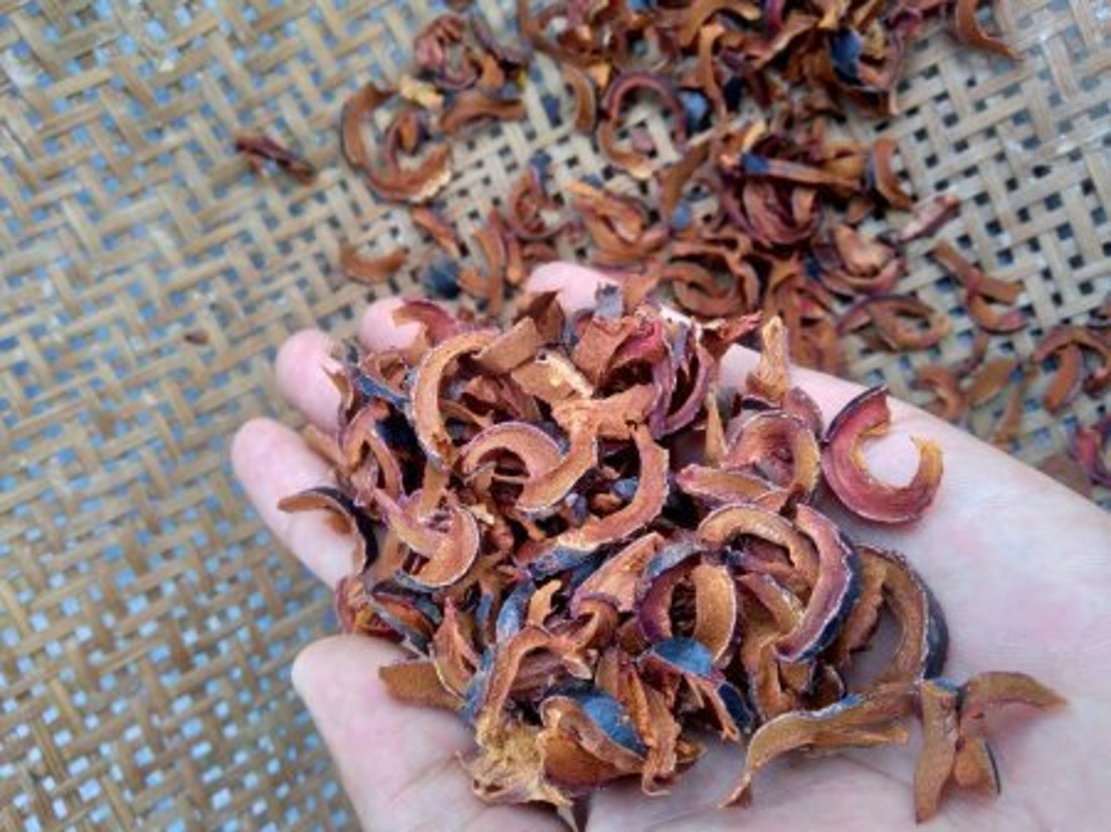 Organic Mangosteen Pericarp Powder Dried Mangosteen Rind Etsy