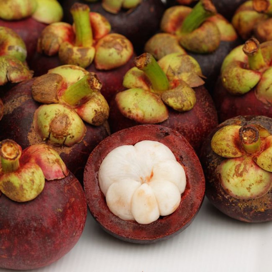 Organic Mangosteen Pericarp Powder Dried Mangosteen Rind Etsy
