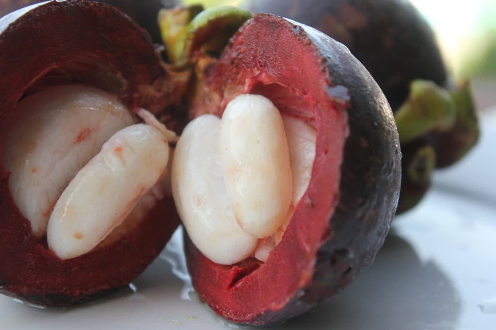 Organic Mangosteen Pericarp Powder Dried Mangosteen Rind Etsy