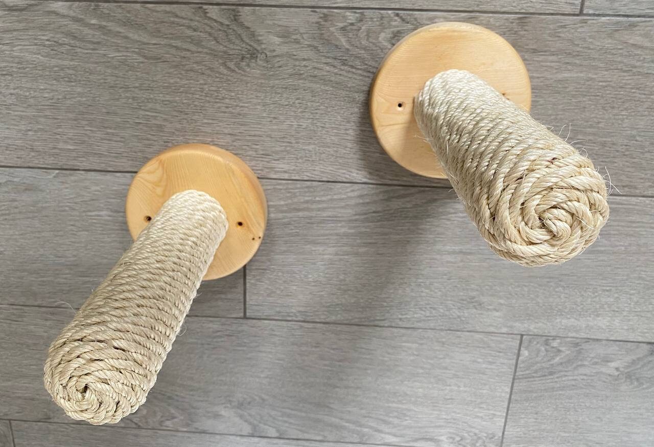 Cat Jungle Gym Wall Cat Treadmill GIFT. Anti Slip Cat for Etsy