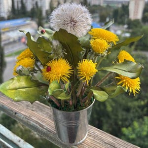 Dandelions bouquet Artificial Realistic flower Real touch flower Outdoor decor Flowers dandelions Kitchen decor Window sill decoration