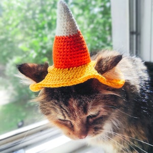 Crochet cat hat, Halloween cat, pet hat, small dog hat, pet Halloween costume
