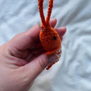 May include: A handmade orange crochet shrimp with long antennae and a small black eye. The shrimp has a white and gray striped pattern on its tail and is held by a silver earring hook.