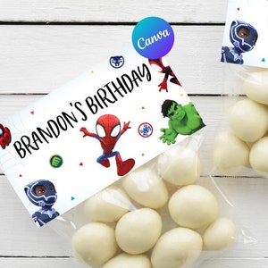 Spidey et ses incroyables amis anniversaire sac Topper garçon super-héros décoration de fête modèle numérique imprimable modifiable téléchargement immédiat