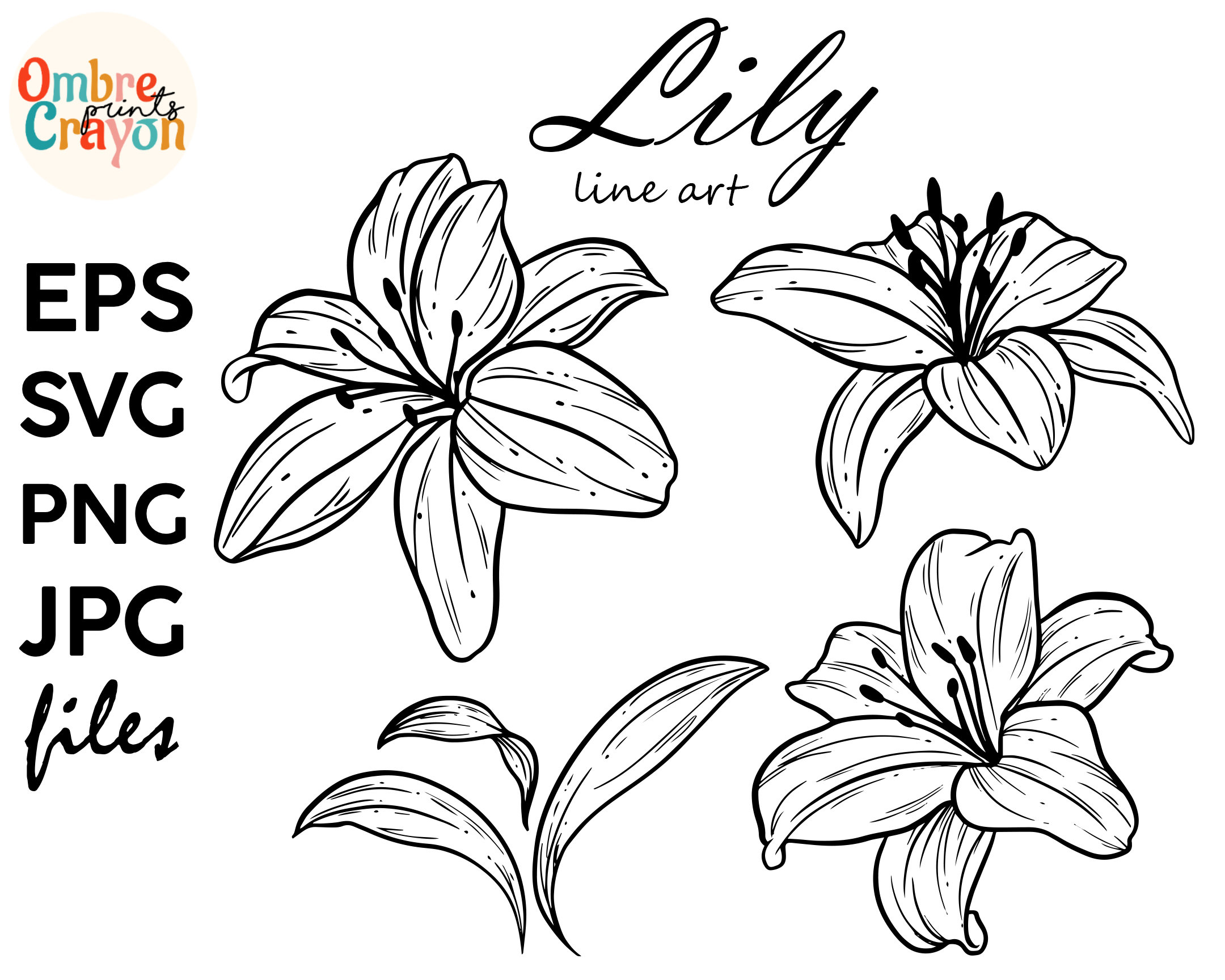 鹿乃 遠恋(サイン入り)＆Lily，Lily il_fullxfull.3359010043_pyuz.jpg