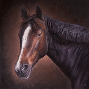 Original Oil Painting on Canvas of your horse, custom equestrian art, horse lover, personal pet portrait