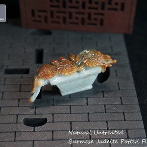 May include: Natural untreated Burmese jadeite potted flowers carved from a single piece of jade. The flowers are a light brown color and the pot is a light green color.