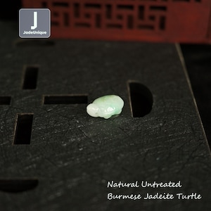Può includere: Piccola statuetta di tartaruga in giadeite verde chiaro. La tartaruga è scolpita con dettagli lisci e poggia su una superficie scura. Il testo "Natural Untreated Burmese Jadeite Turtle" è sotto.