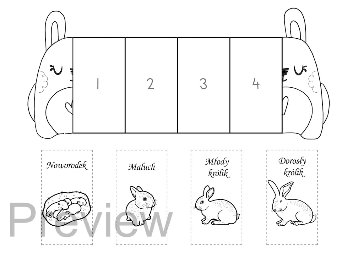 POLISH Life Cycle of a Rabbit | Cykl Życia Królika | All About Rabbits ...