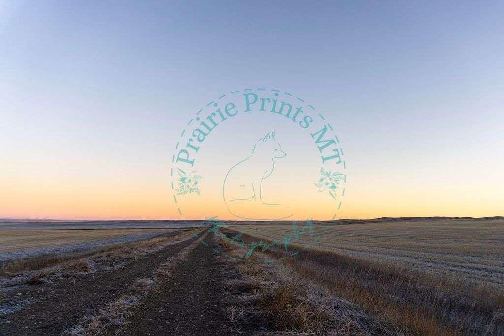 Evening Stretch - Montana Prairie Road at Sunset