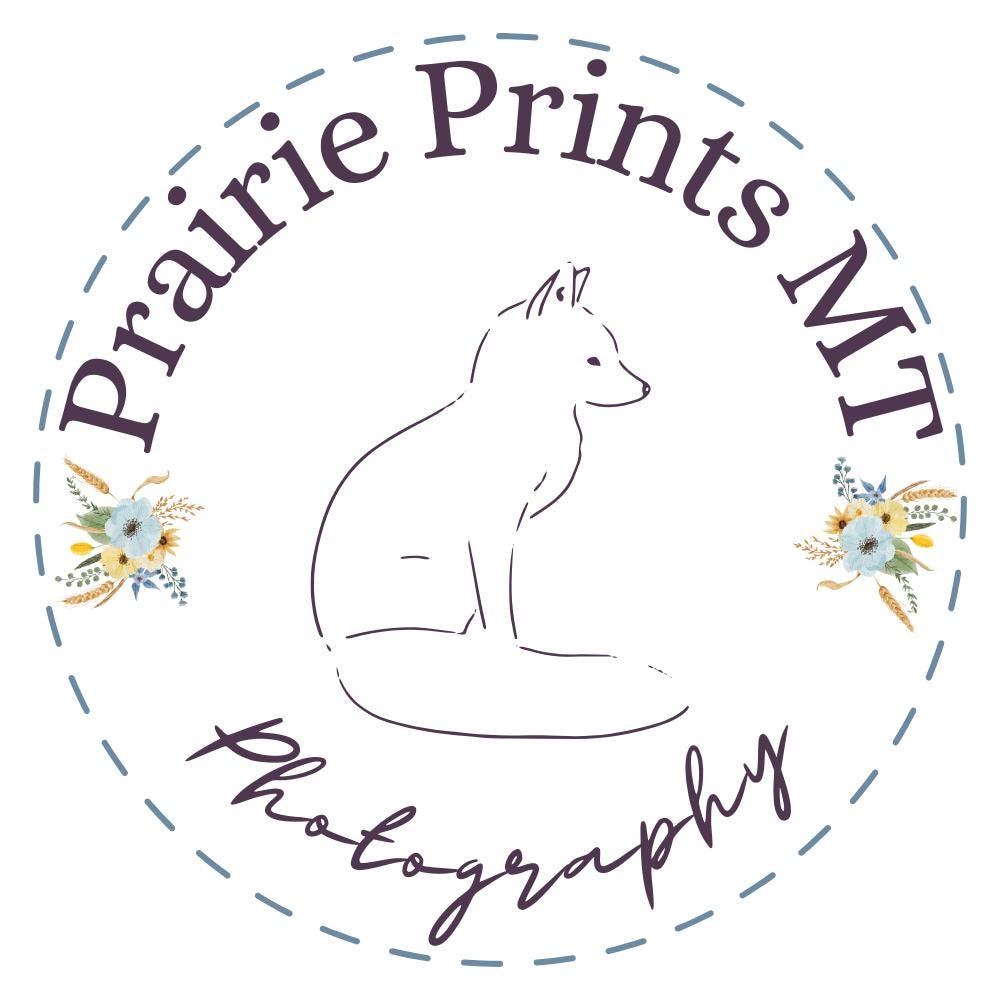 Before the Break - Prairie Storm Wall Art Print - Thumbnail 2