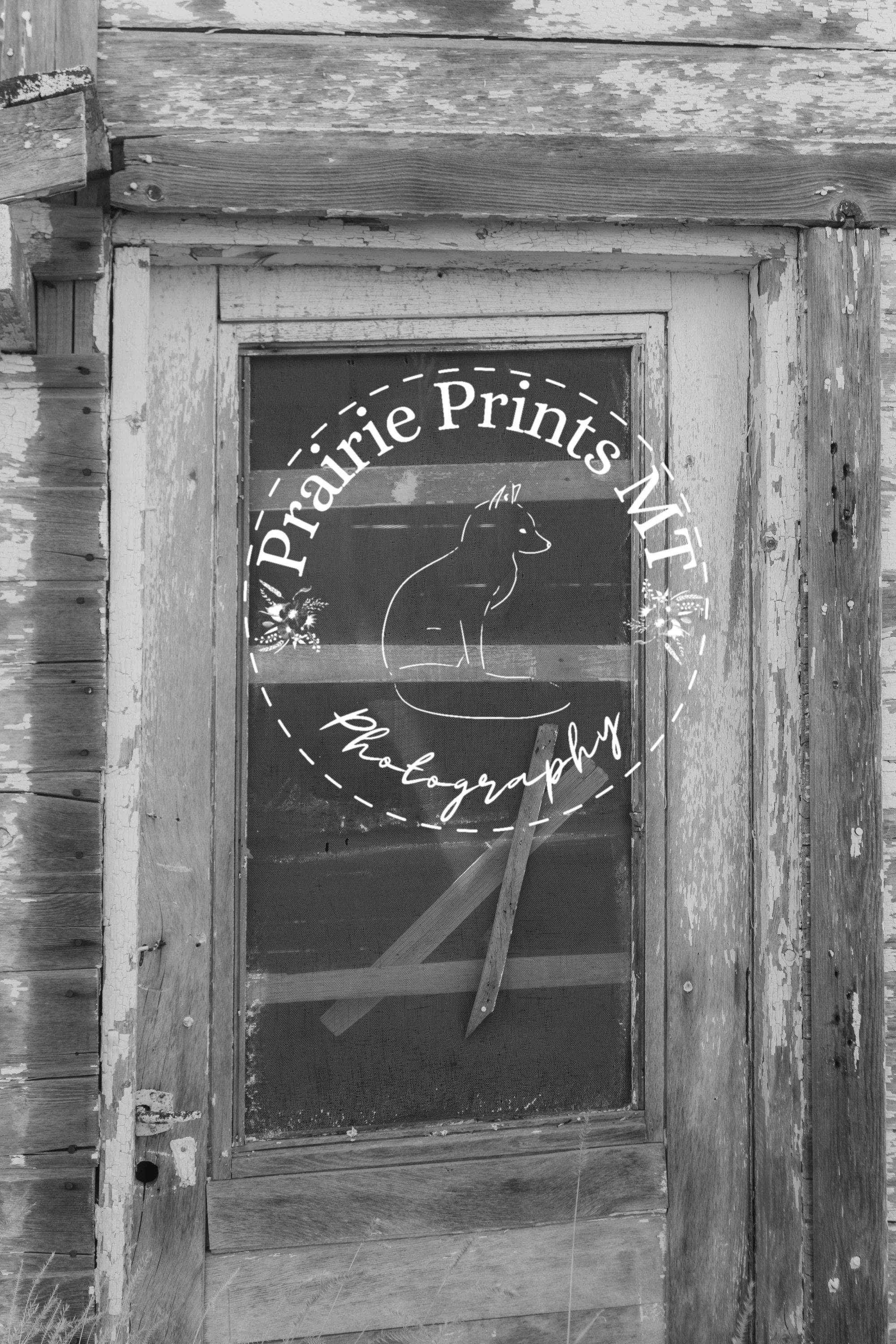 8x10 inches - Crossed and Weathered - Black and White Rustic Screen Door from an Abandoned Montana Homestead - Image 1