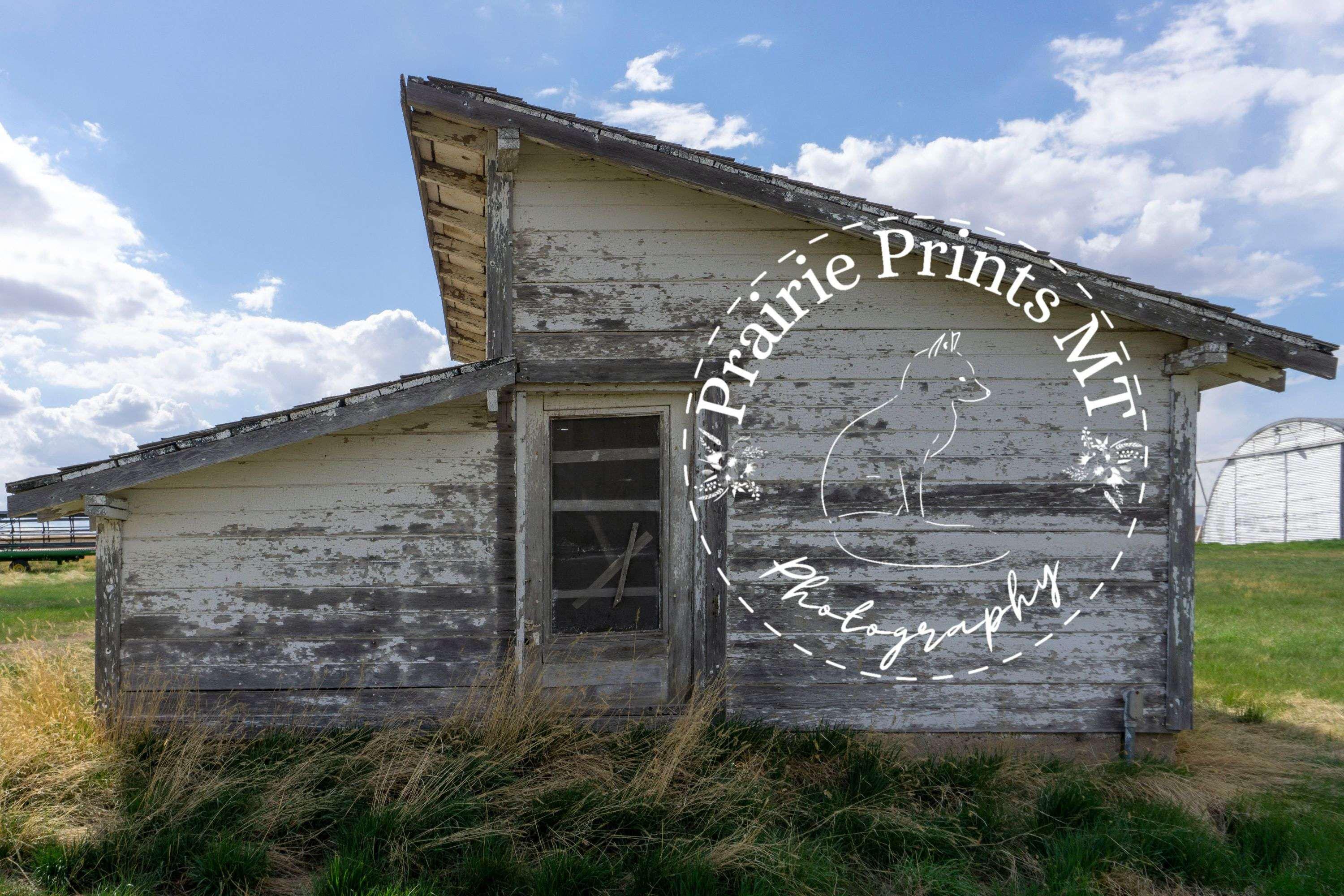 Side Shed Stories