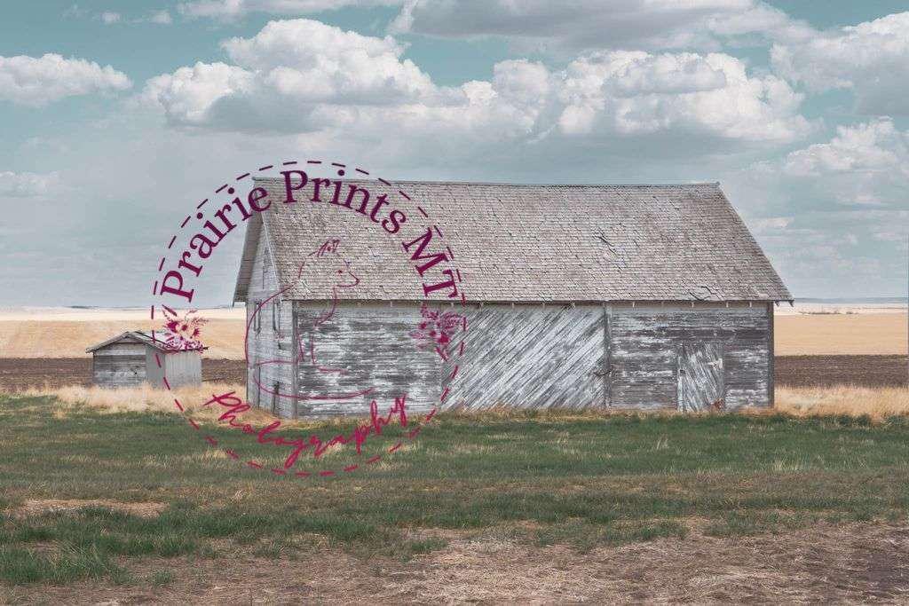 Fieldside Quiet - Weathered Barn on the Prairie