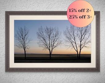 Montana Cottonwood Sunset Silhouettes  Farmhouse Wall Art Photography  Rustic Home Decor - Unframed Print
