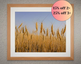 Unframed Photo Print - Golden Wheat Field Print: Rustic Farmhouse Wall Art