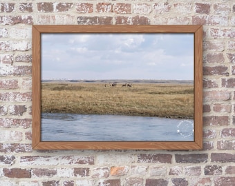 Mule Deer by River  Montana Landscape Photography Nature Wall Art Print - Unframed Print