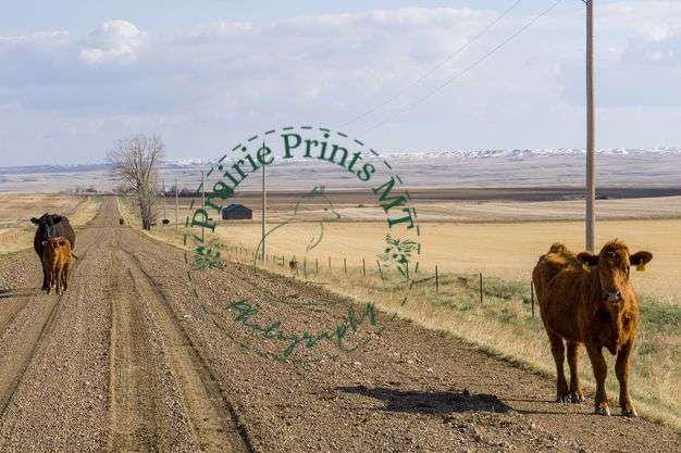 County Road Crew - Rural Montana Print