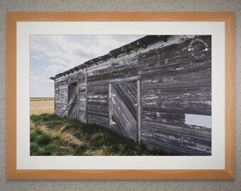 Old Boards and Prairie Grass - Weathered Barn Wall Art - Unframed Print