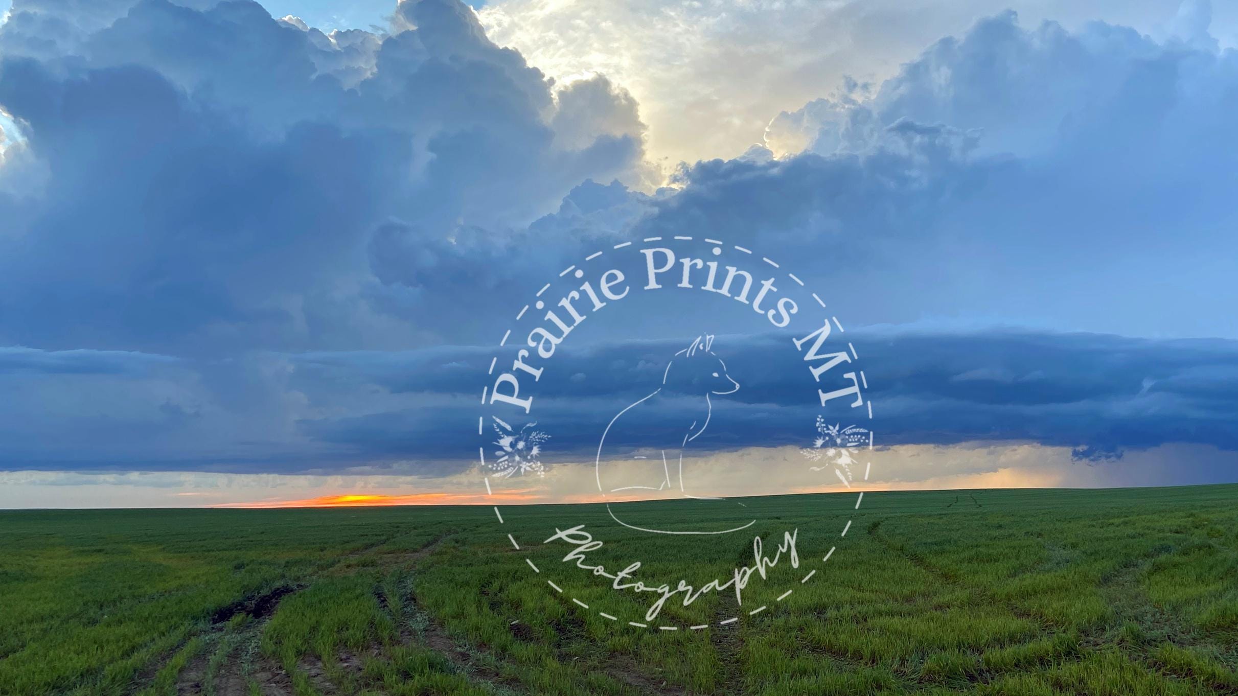 Framed Print 5x10 - Thunder Over Wheat - Montana Prairie Storm Print - Thumbnail 2